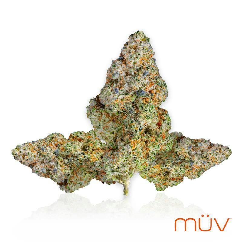 MÜV Pootie Tang x I95 14g