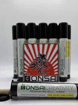 Creativity (H) - 1g Pre-Roll - Bonsai