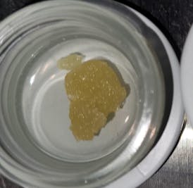 Greasy Grapez (I/H) - 1g Live Sugar - Lastrip