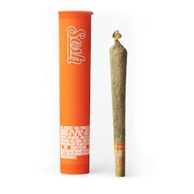 Guava Melt x Bubba Kush (H) - .75g Wax Infused Cone - Sesh