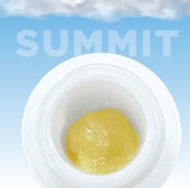 Gary Payton (H) - 2g Live Rosin - Summit