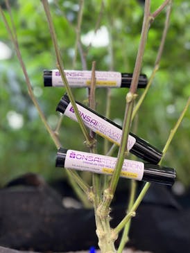 Relaxation (I) - 1g Pre-Roll - Bonsai