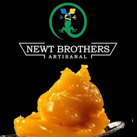Blueberry Banana Pancakes (I/H) - 1g Live Unfiltered Badder - Newt Brothers