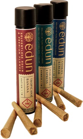 Dante's Inferno x Papaya - 1g Rosin Pre-Roll - Edun