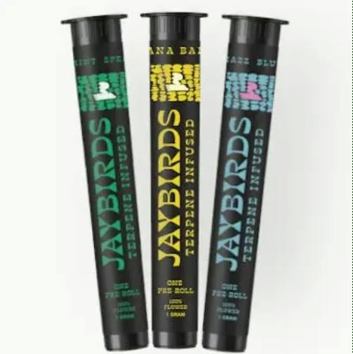 Blue Razz (H) - 1g Infused Pre-Roll - Jay Birds