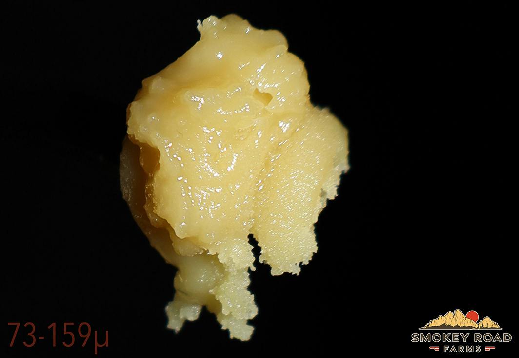 Smokey Road 1g Rosin l Honey Hut (sativa) at Glenrio Smoke Stop