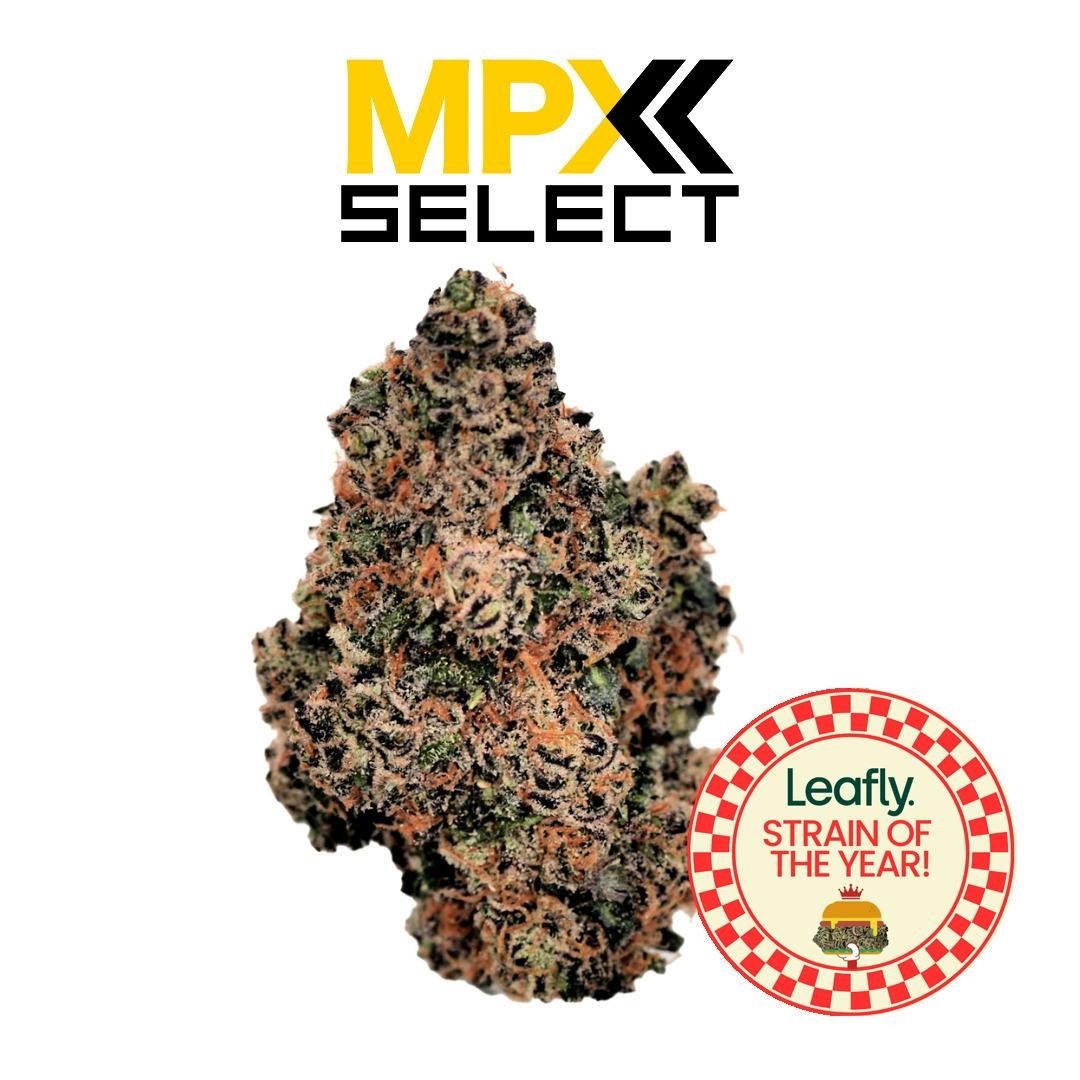 MPX Select™ Hash Burger Flower