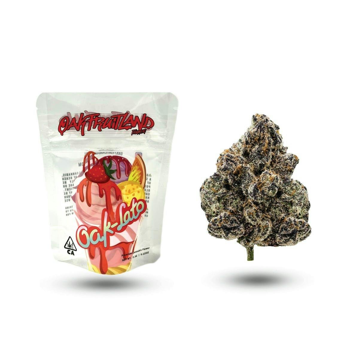 Oakfruitland - Oak-lato - 3.5G