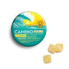 CAMINO: Tropical Burst