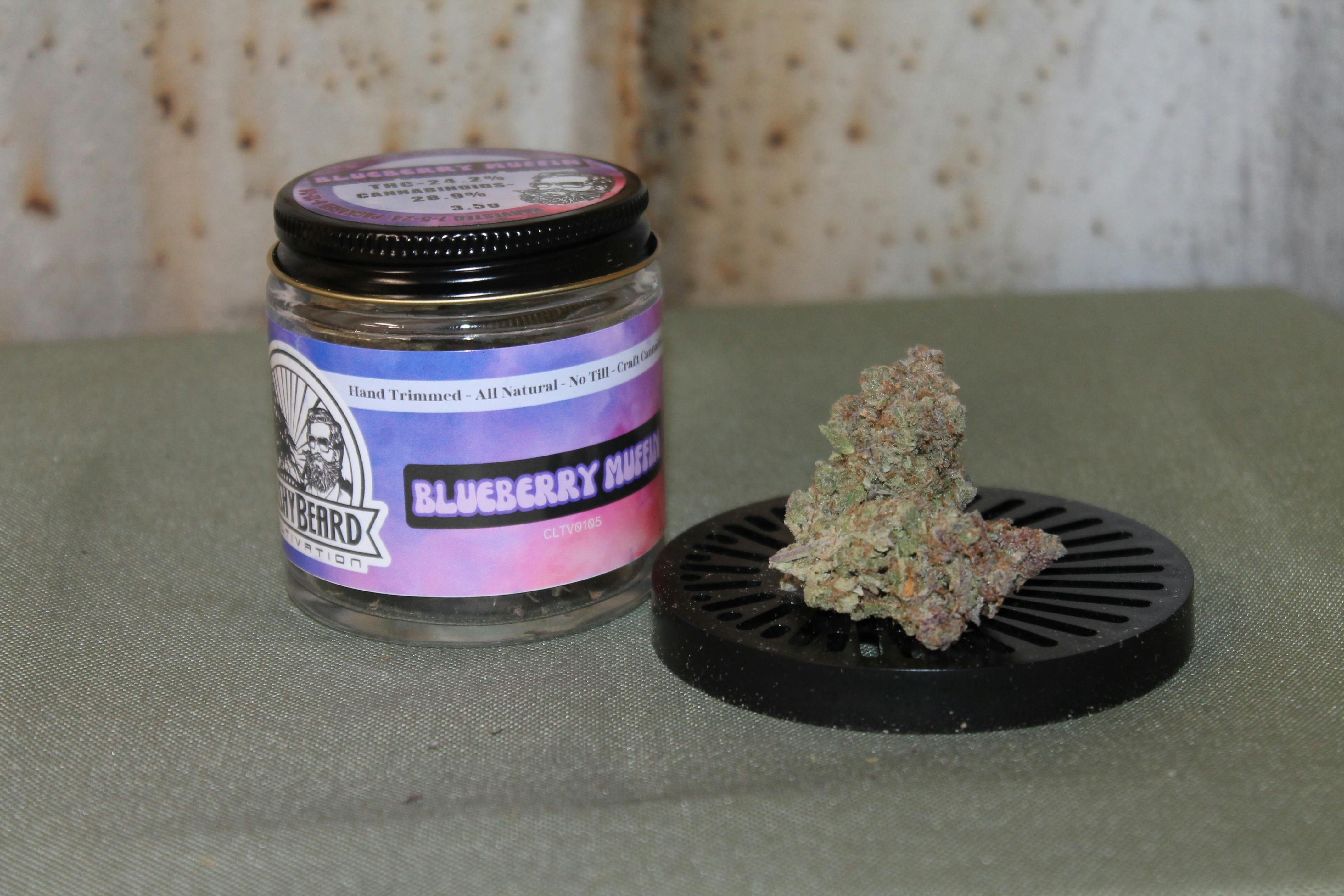 Bushy Beard I Blueberry Muffin at Northeast Kannabis
