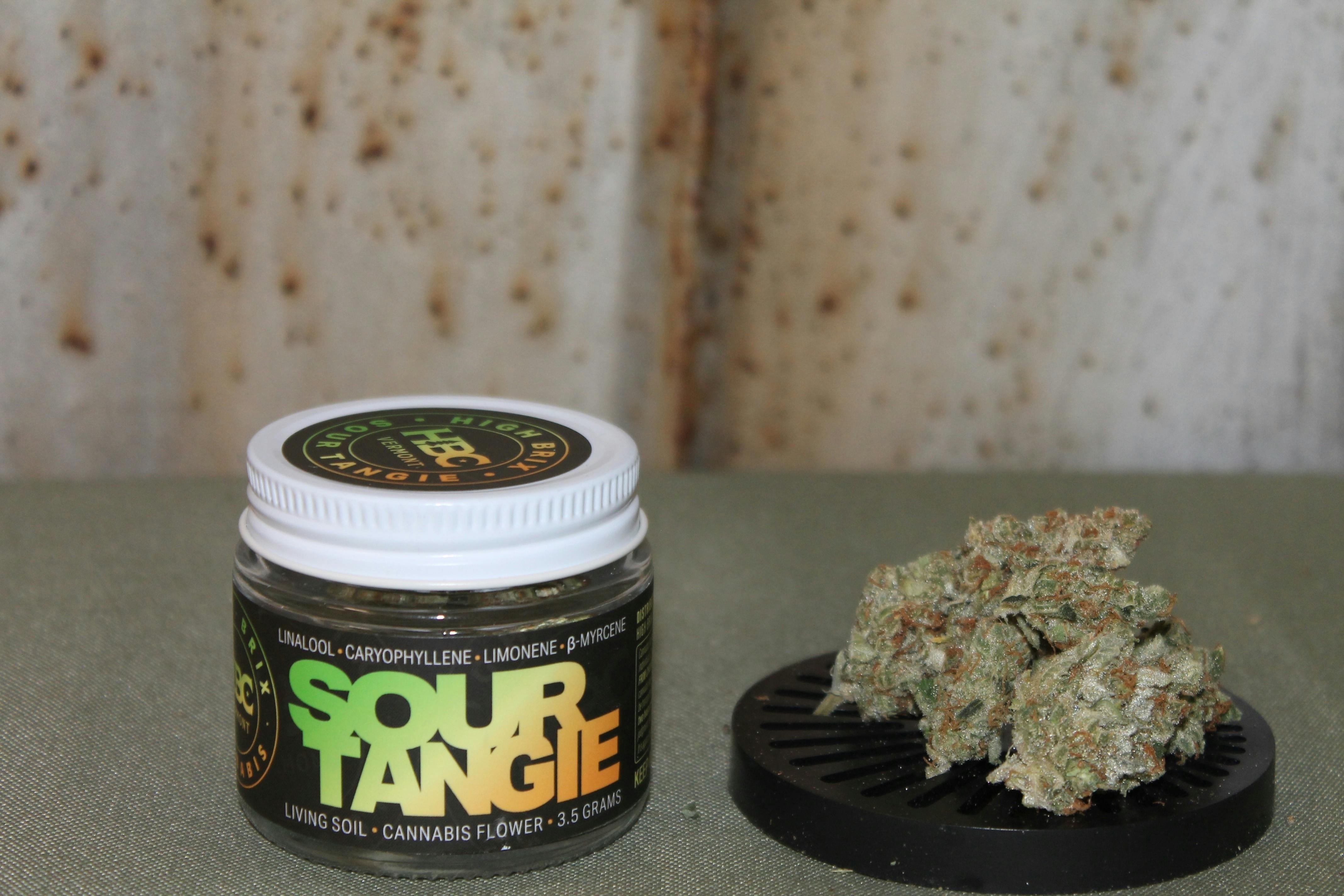 High Brix Cannabis I Sour Tangie at Northeast Kannabis