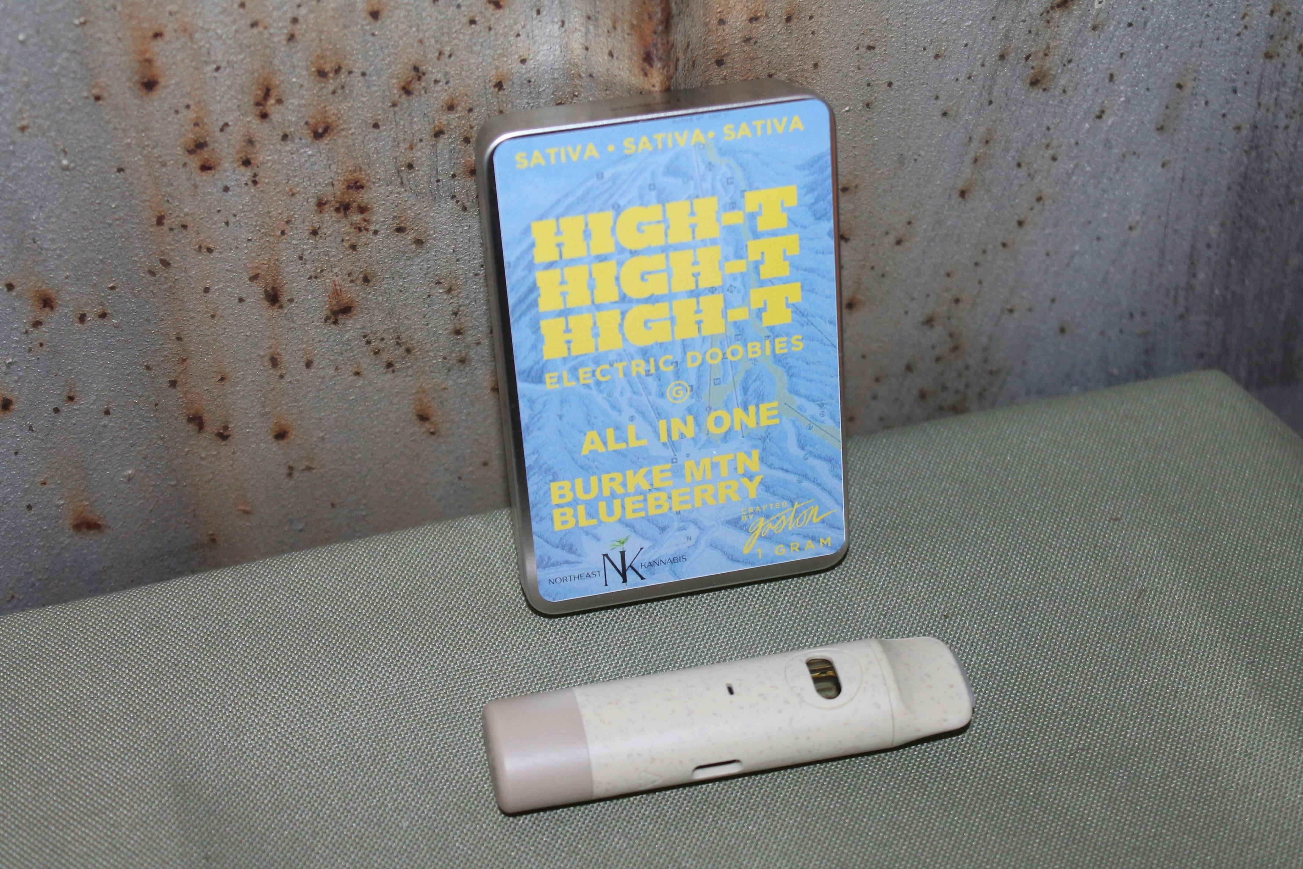 Gaston I All In One (Burke Mountain Blueberry) I 1g Cart at Northeast Kannabis