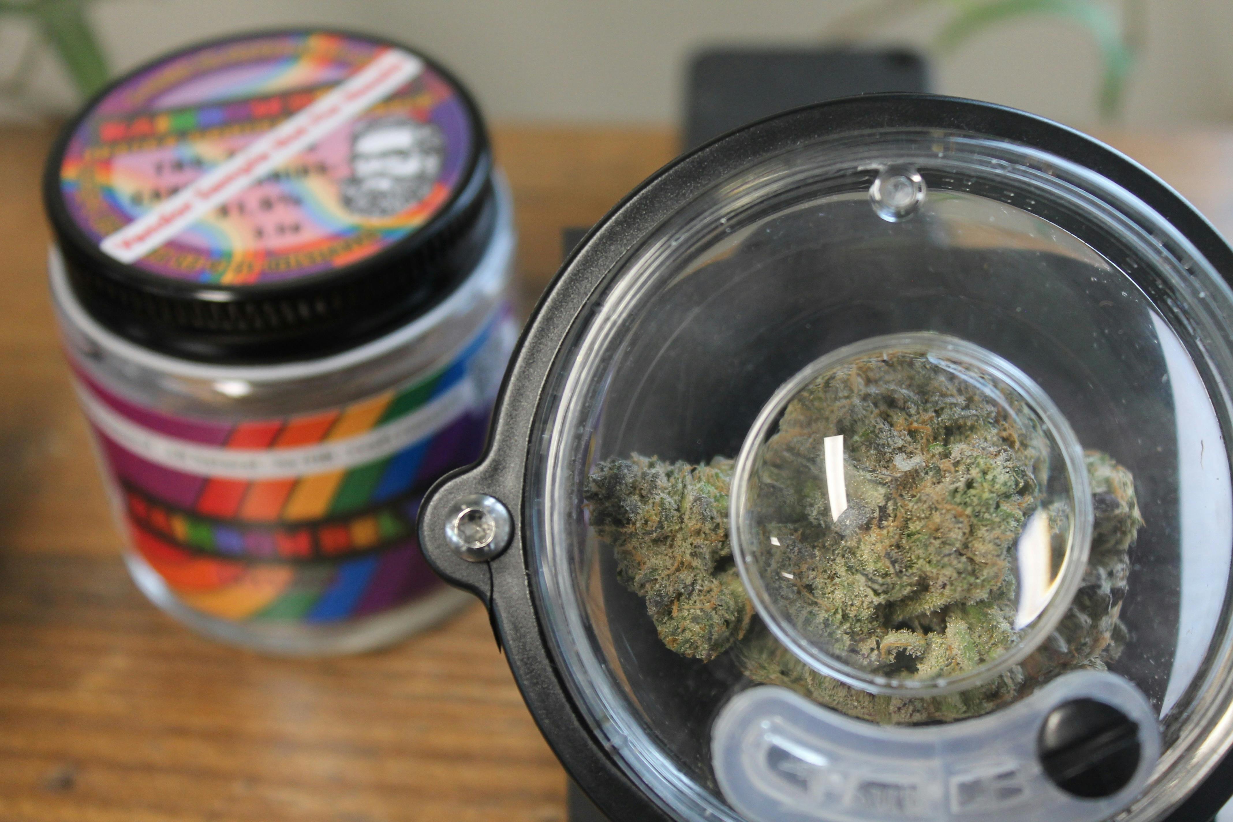 Bushy Beard I Rainbow Belts at Northeast Kannabis