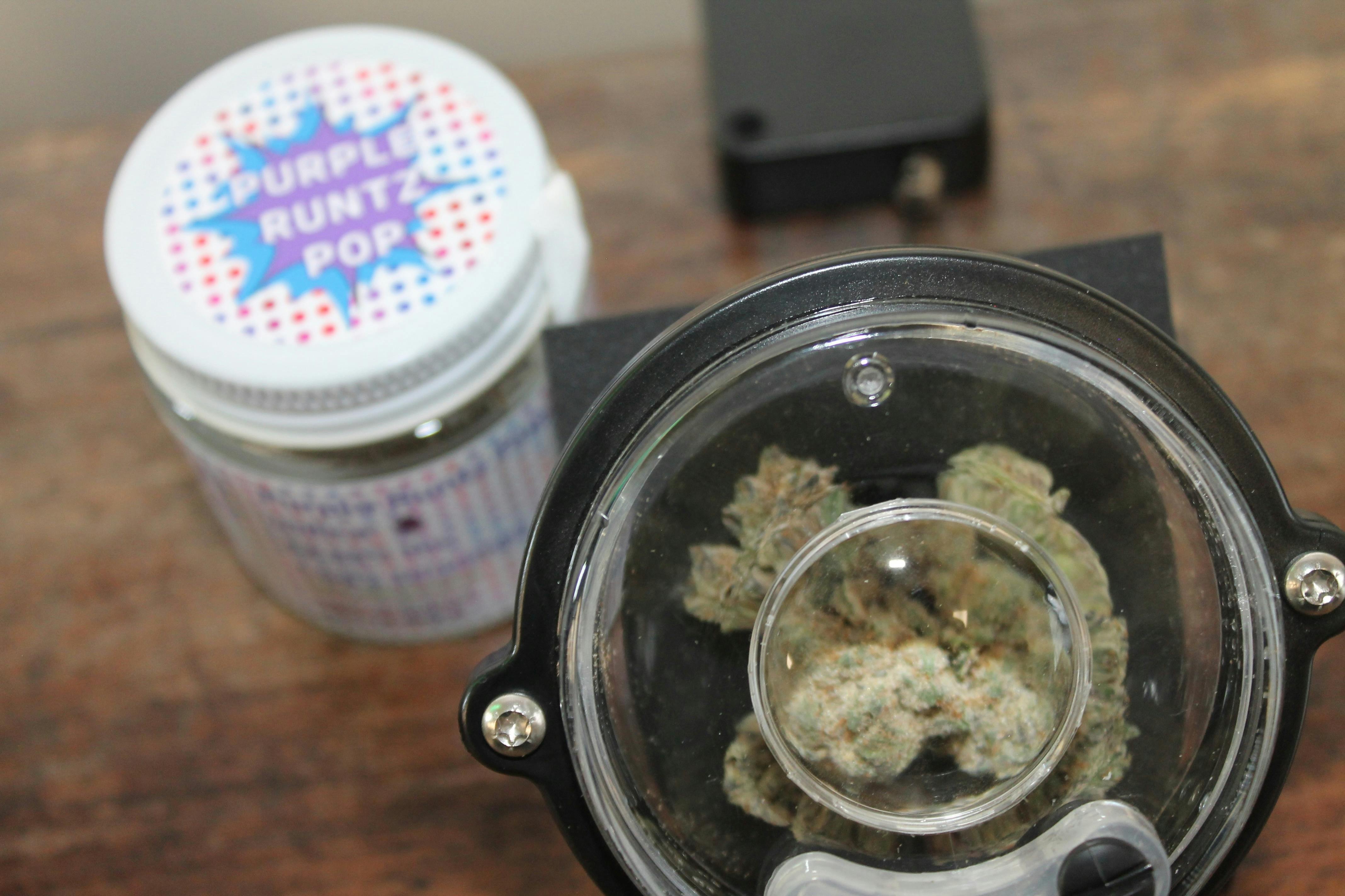 Clean Cannabis I Purple Runtz Pop at Northeast Kannabis