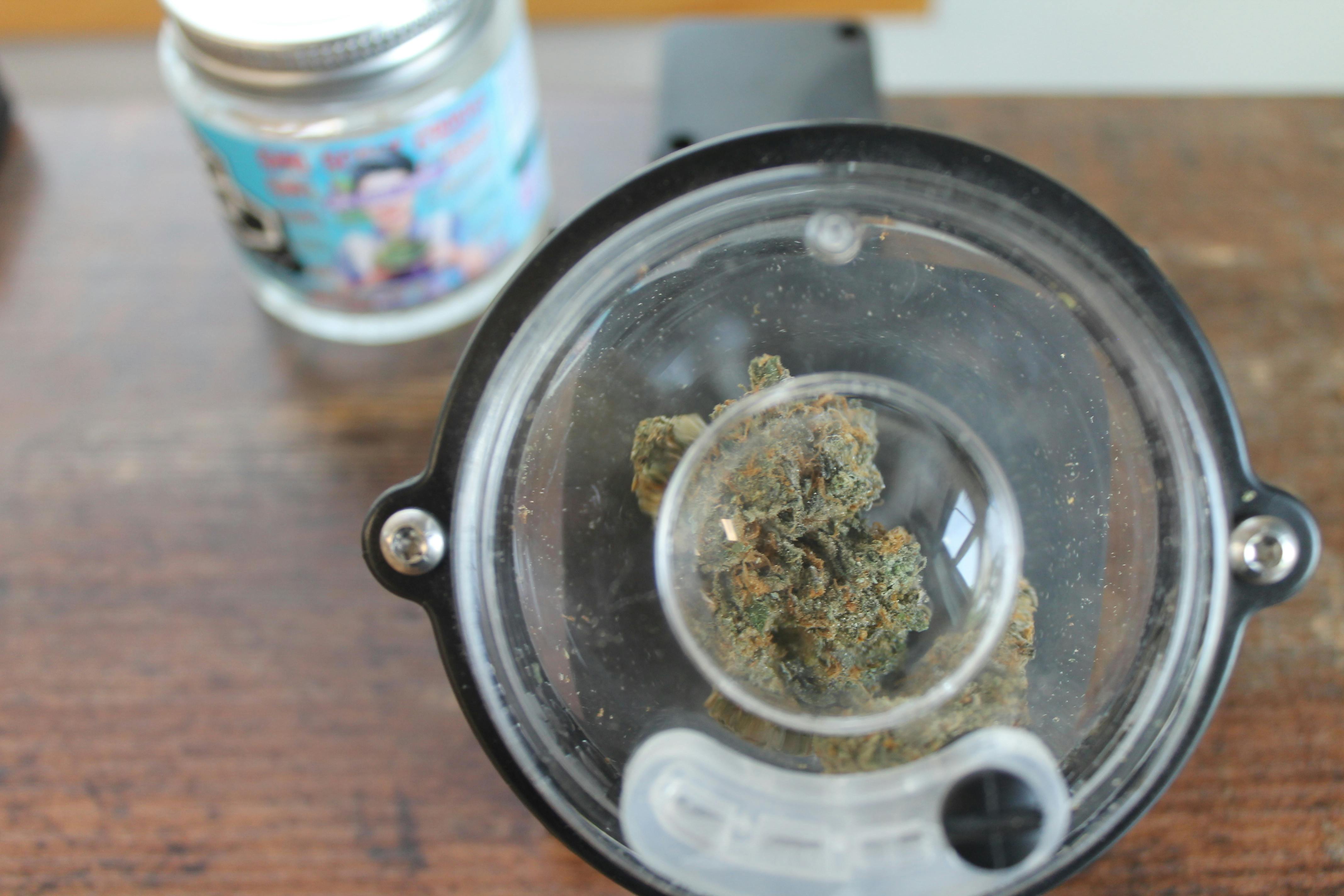 Bern Legacy I Girl Scout Cookies at Northeast Kannabis