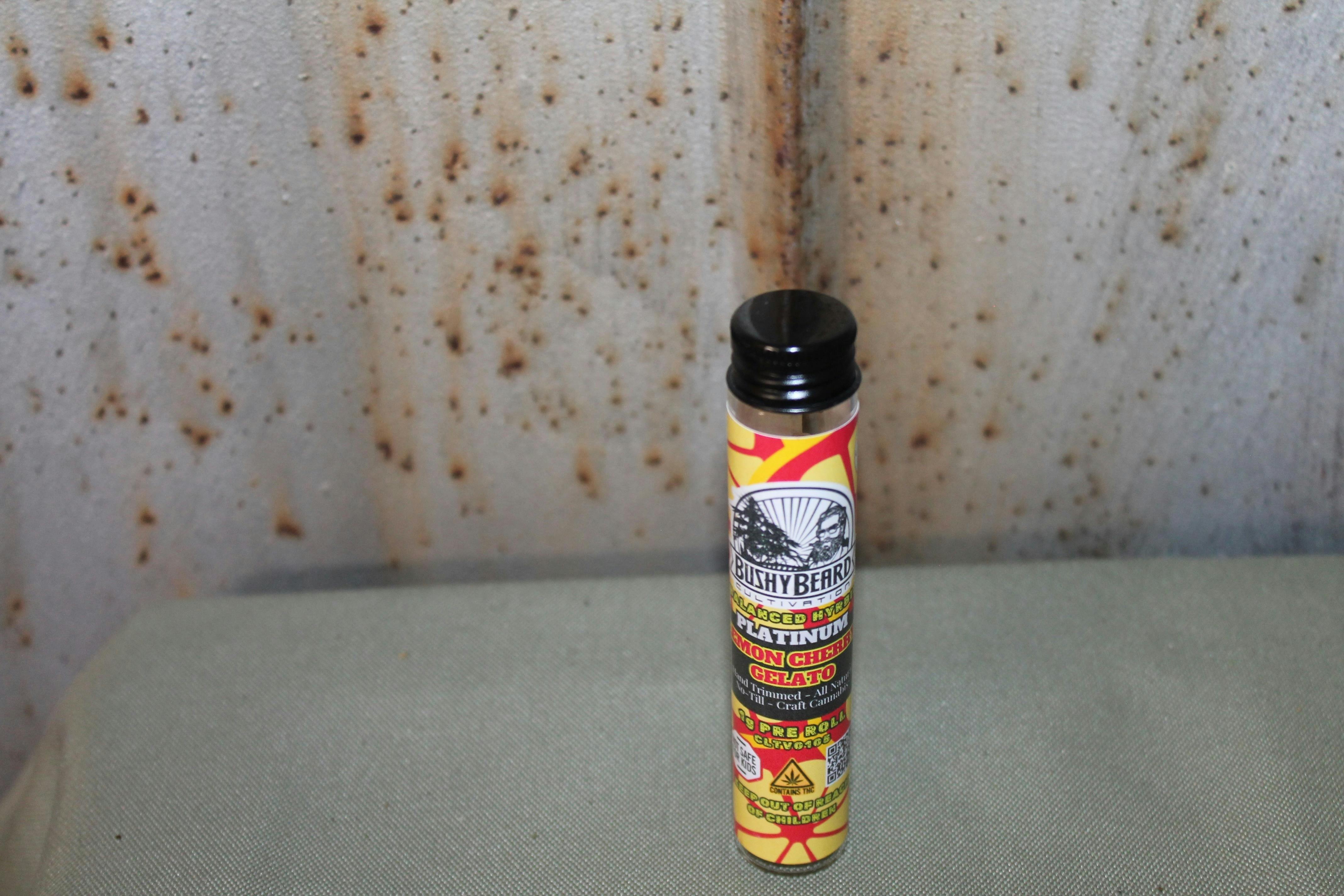 Bushy Beard I Platinum Lemon Cherry Gelato I 1g Pre-Roll at Northeast Kannabis