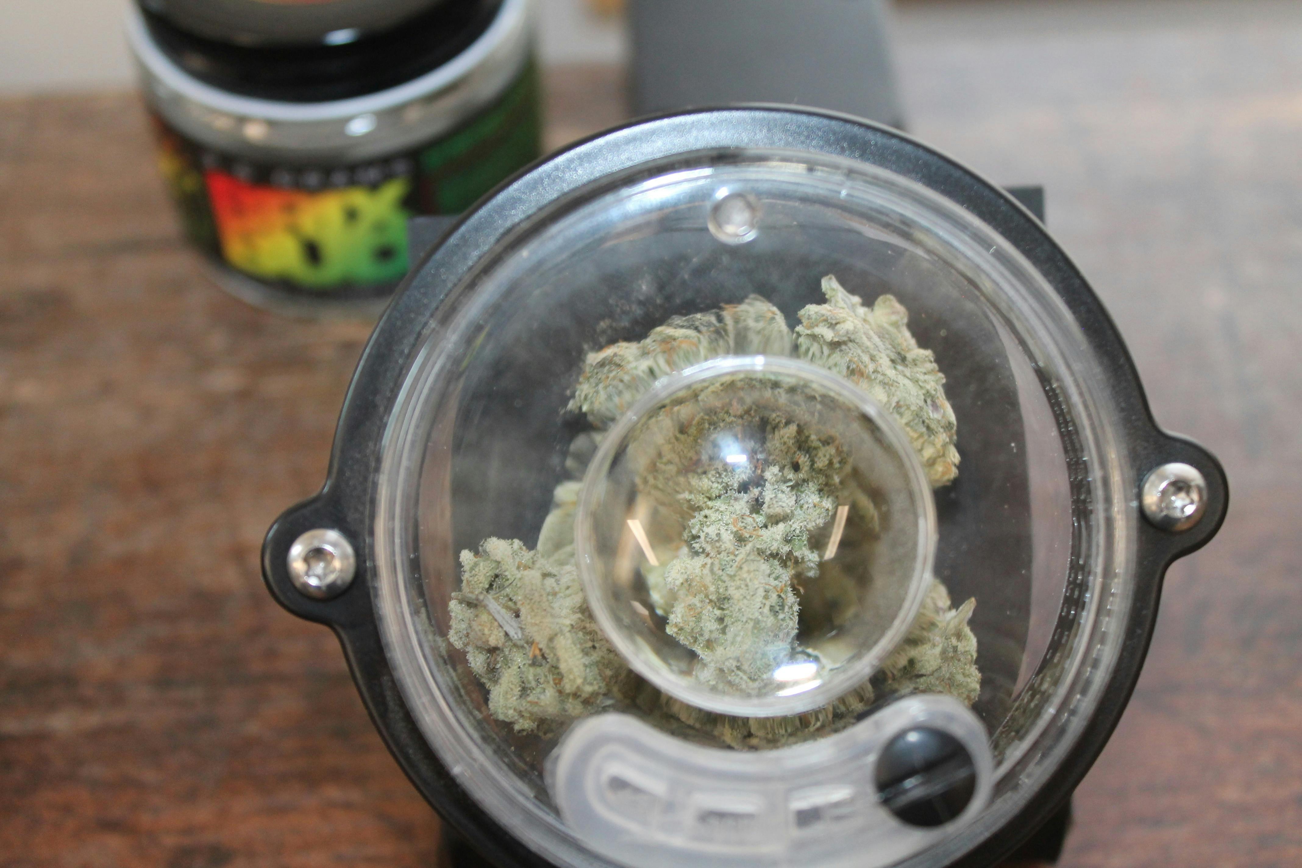 High Brix I Grape Cream Cake at Northeast Kannabis