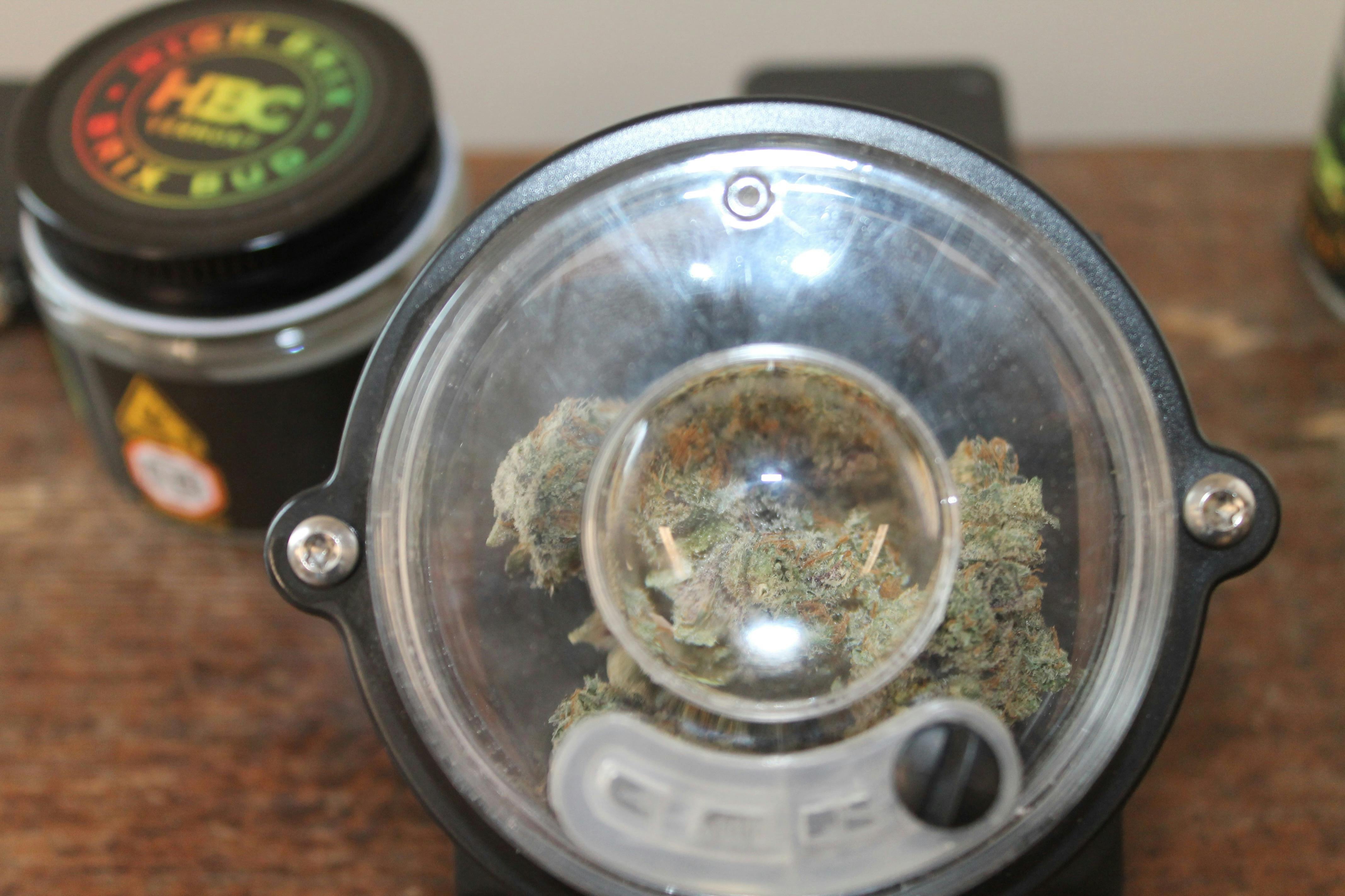 High Brix I Funk MTN at Northeast Kannabis