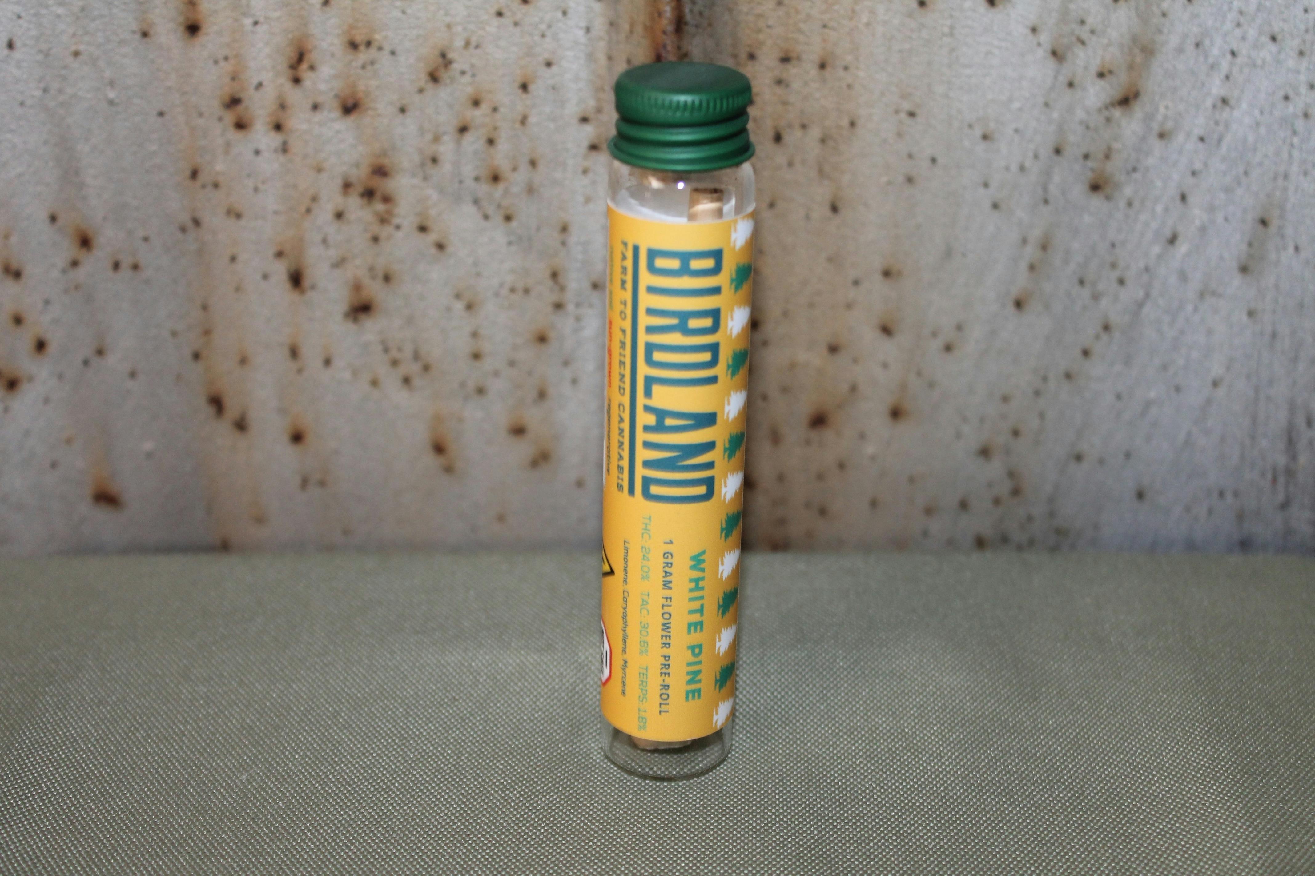 Birdland I White Pine | 1g Pre-Roll at Northeast Kannabis
