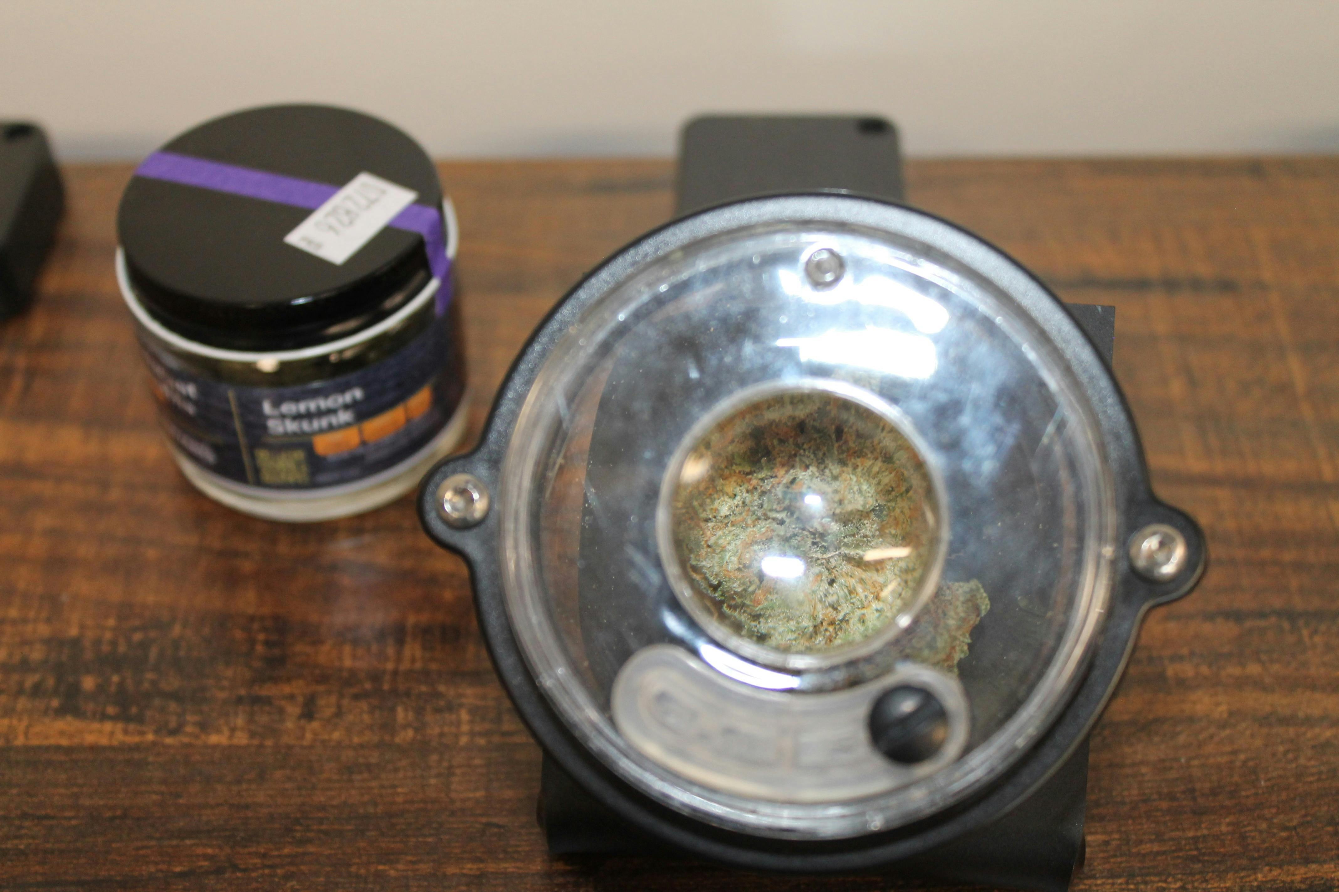 Northeast Kannabis I Lemon Skunk at Northeast Kannabis