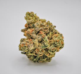 SG - Acapulco Gold - 7G PrePack