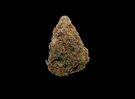Robust - California Raisins #4 - Deli Style Flower