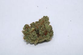 SG - Blue Cookies - 7G PrePack
