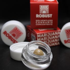 Robust - Scented Marker - 1G Live Hash Rosin
