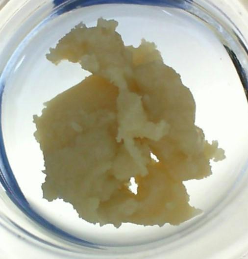 Neon Rainbow Concentrate
