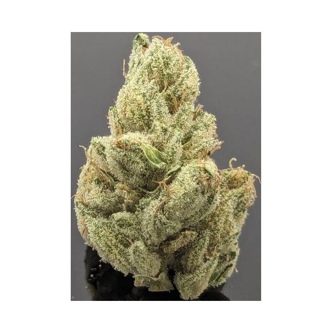 MPX Select Gelato de Limon