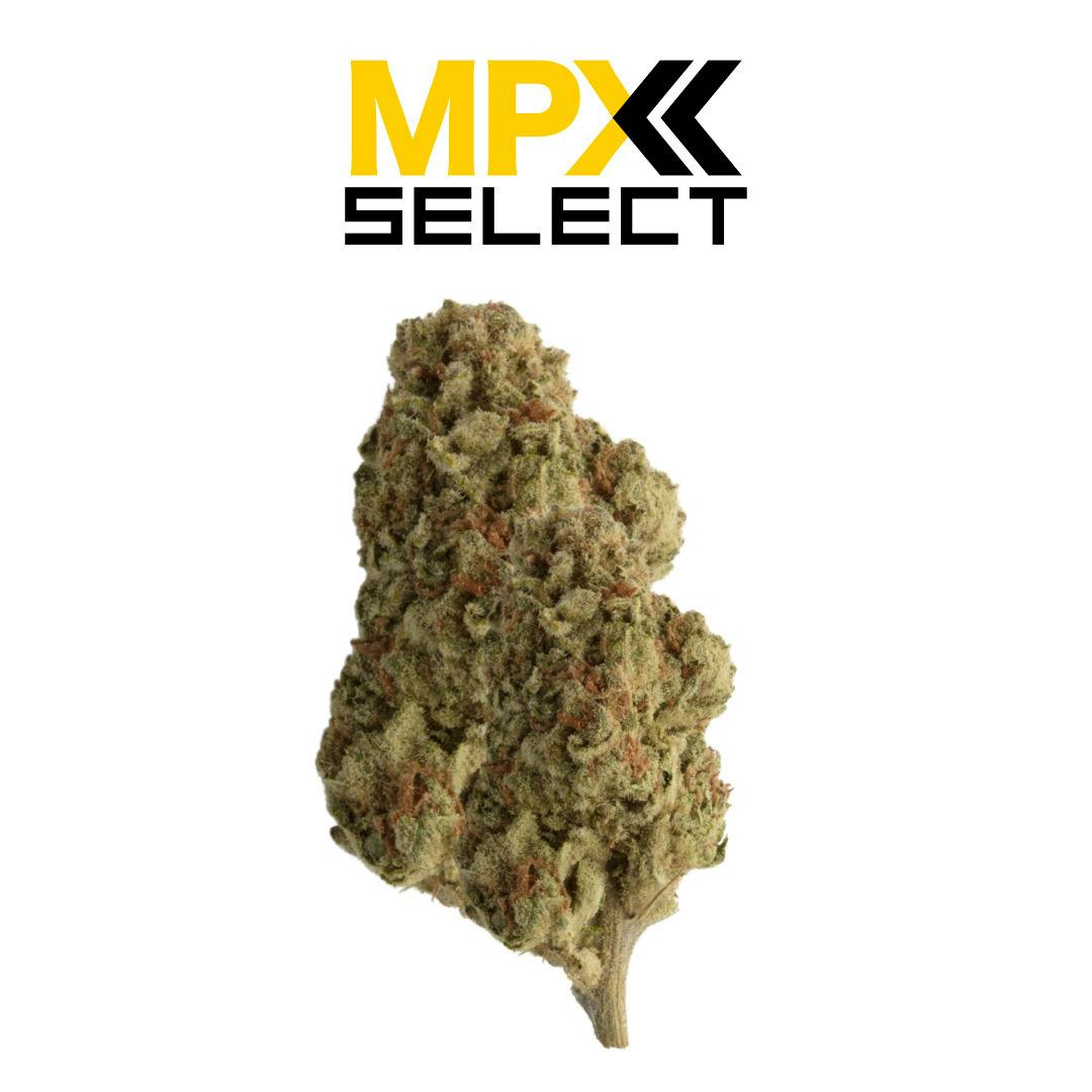 MPX Select™ Ice Cream Cake Flower