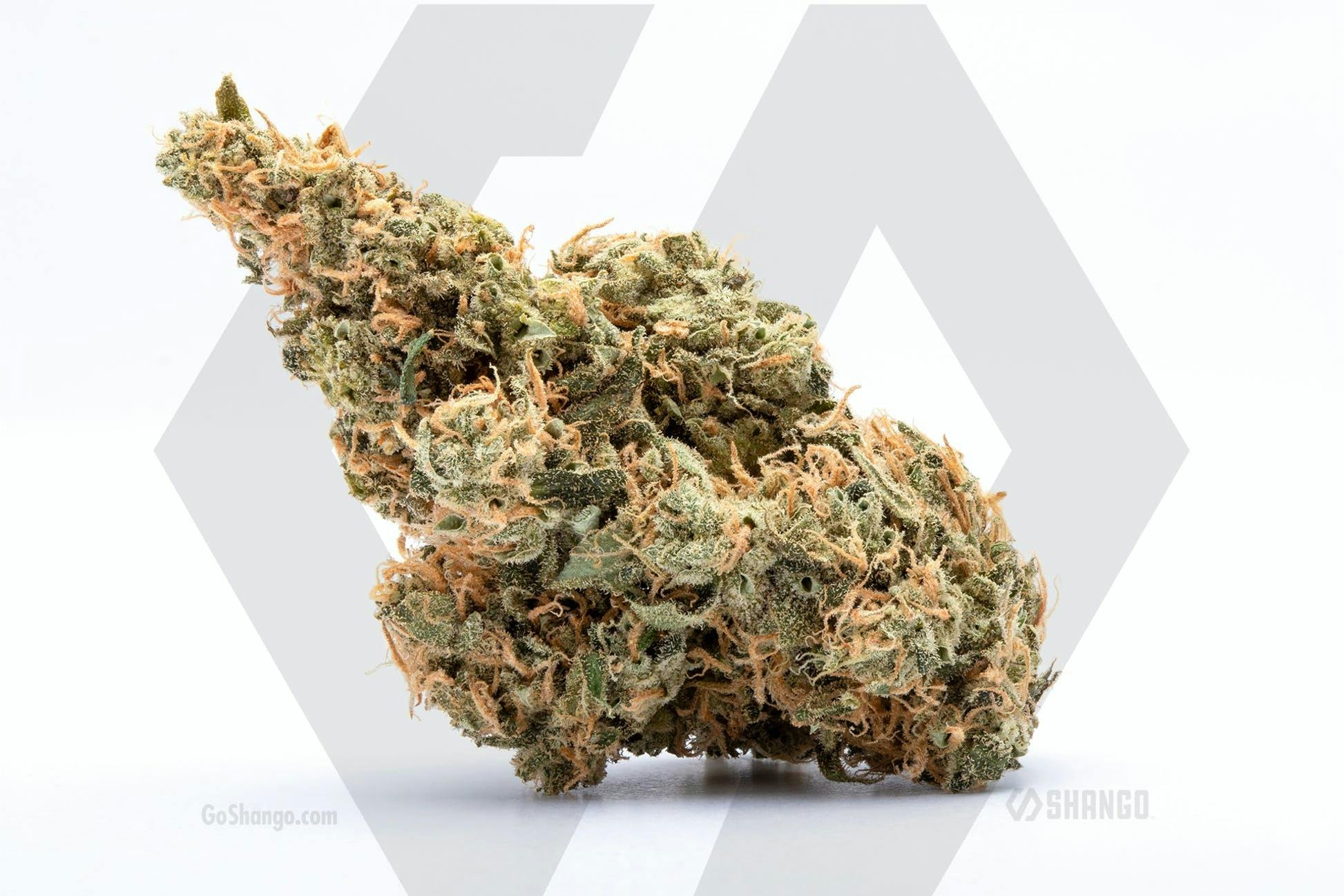 Sour Haze