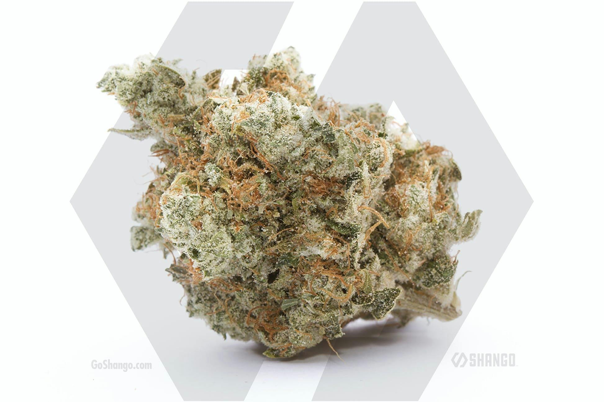 Blue Mountain Gas