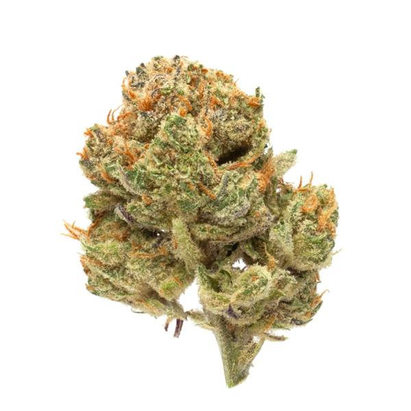 Blue Tang Cookies 7g sp