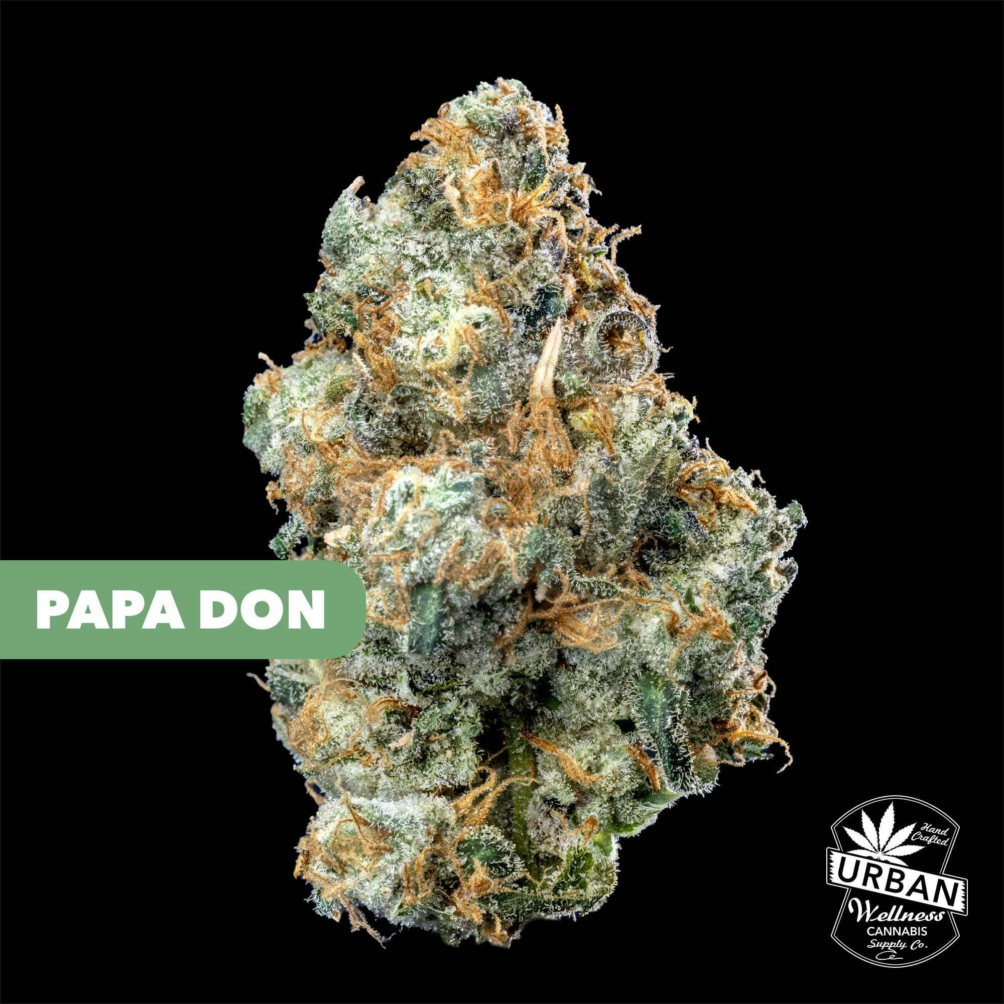Papa Don | Urban Wellness