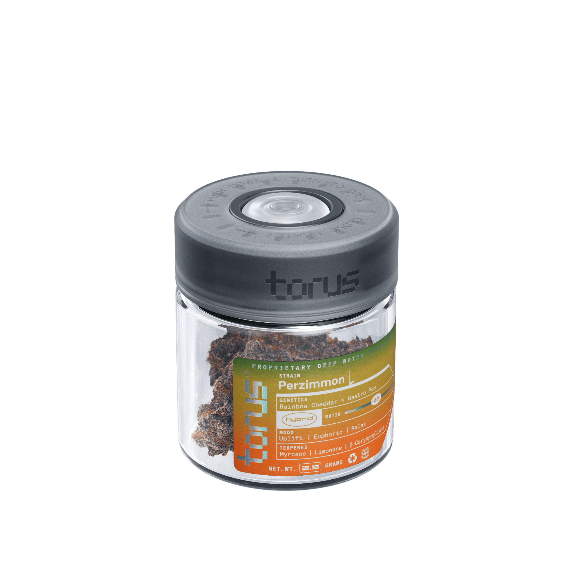 Perzimmon | Torus