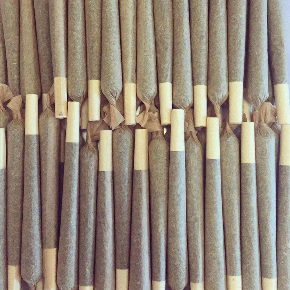 1:1 Morning Yoga [.7g] | Walden Reserve - 5 Pack Infused Pre Roll