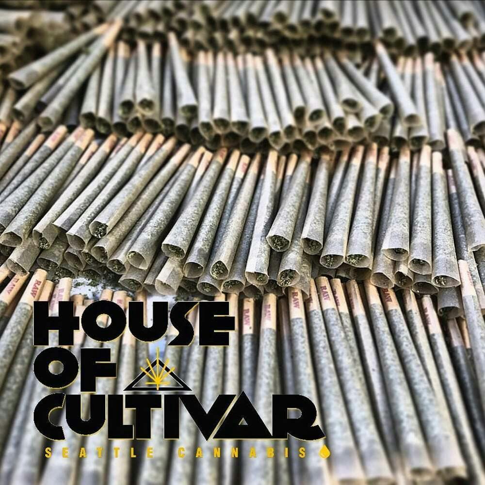 Diesel Cakes [.5g] | House of Cultivar - 2 Pack Pre Roll