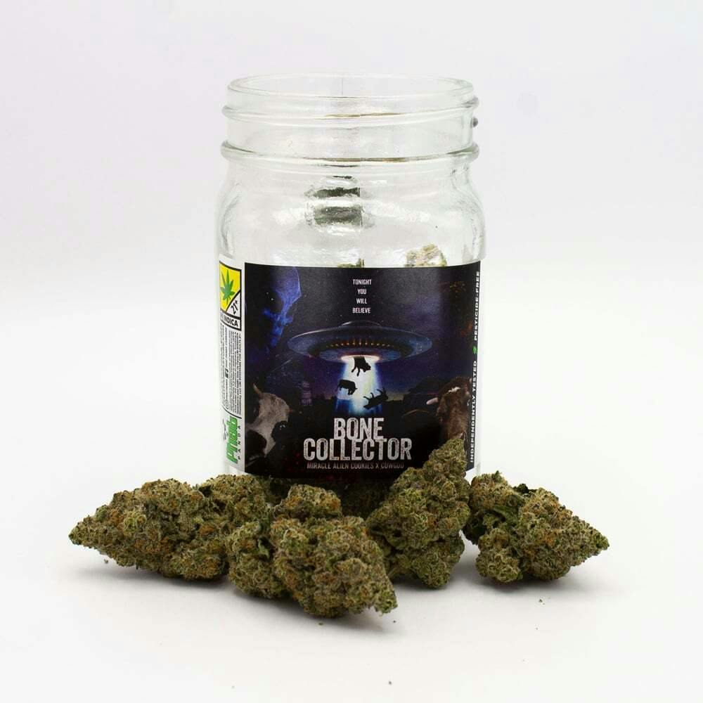 Bone Collector | Phat Panda - Core Flower