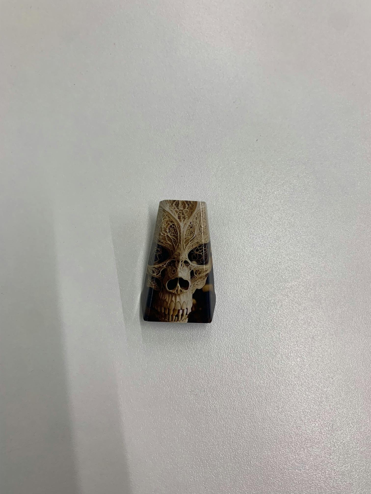 Canna Scoop - Skull Graphic