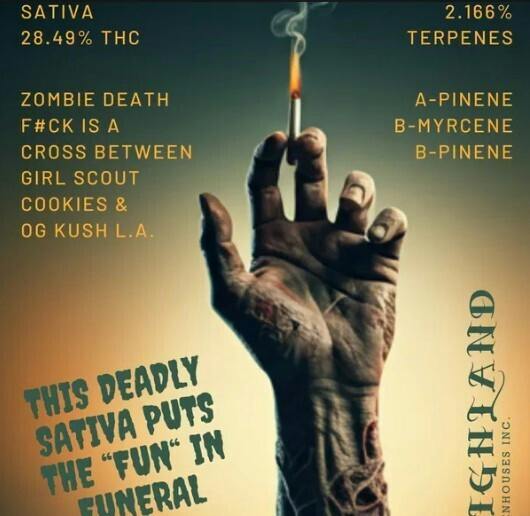 HIGHLAND GREENHOUSES Zombie Death F#ck 1g