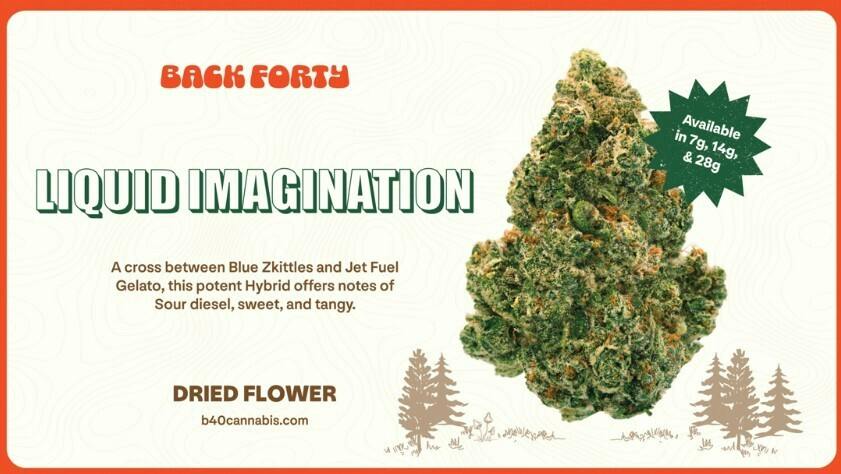 BACK FORTY Liquid Imagination 28g
