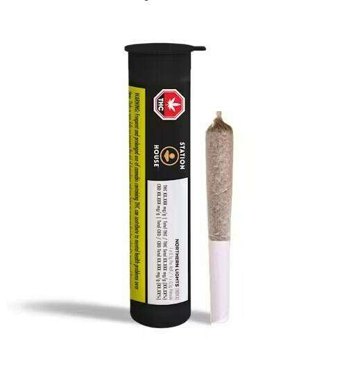 STATION HOUSE Northern Lights PR1x0.5g