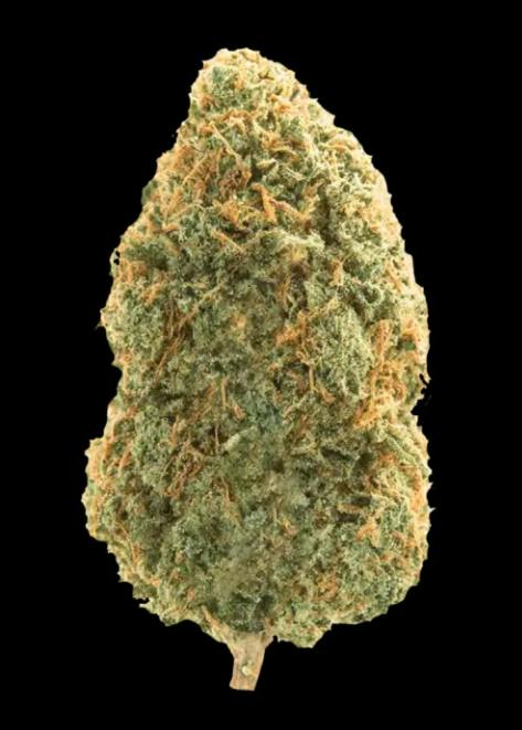 HIGHLAND GREENHOUSES Blue Dream 1g