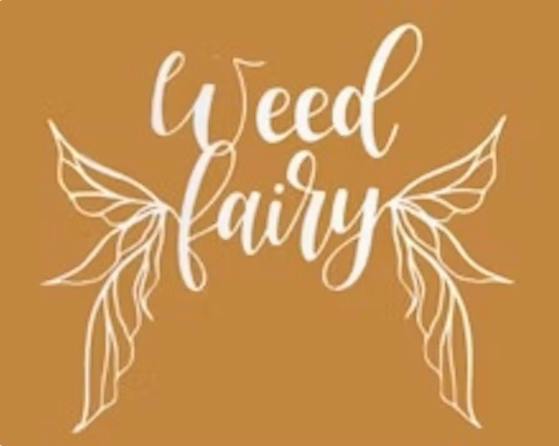 WEED FAIRY Icy Mint Kush 28g