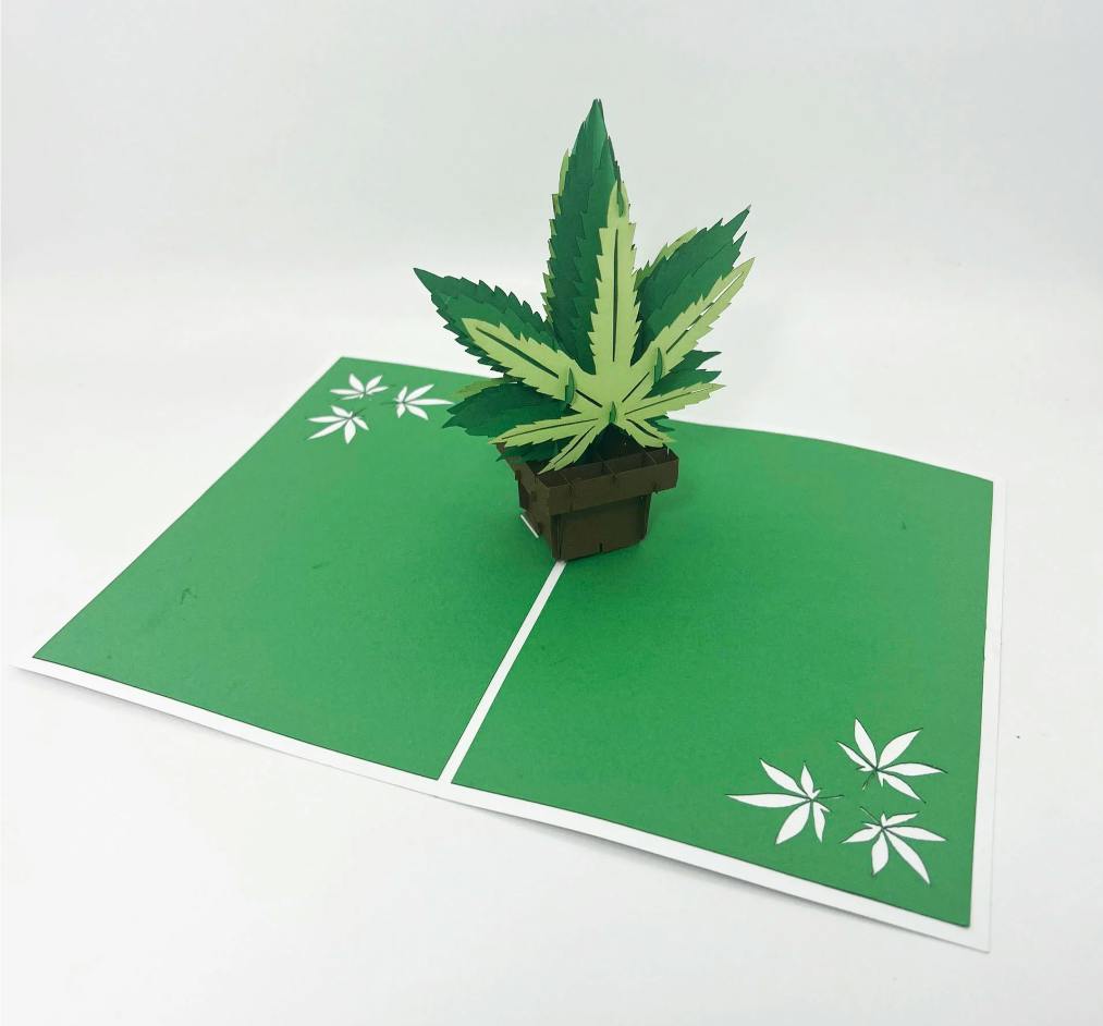 INTRICATE GREETINGS - Cannabis Leaf 3D Pop-Up Cards - For Any Occasion - Blank