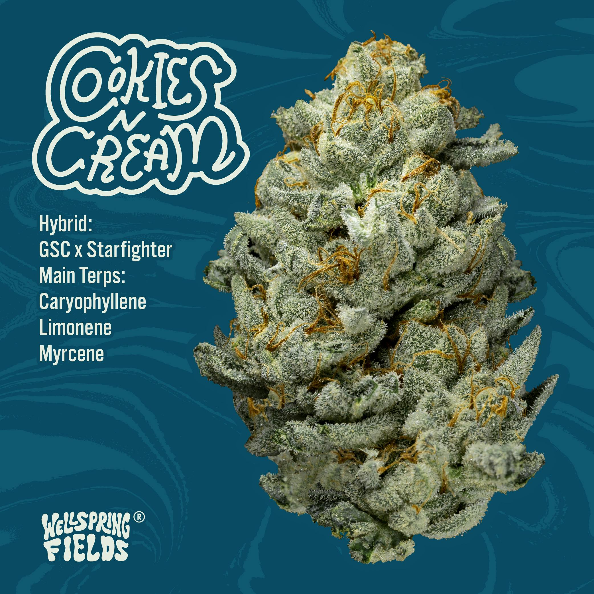 Cookies & Cream | 1