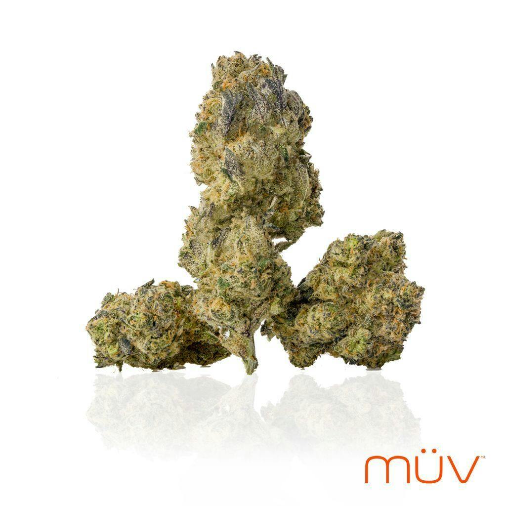 MÜV Gush Mints 3.5g at MÜV Cannabis Dispensary