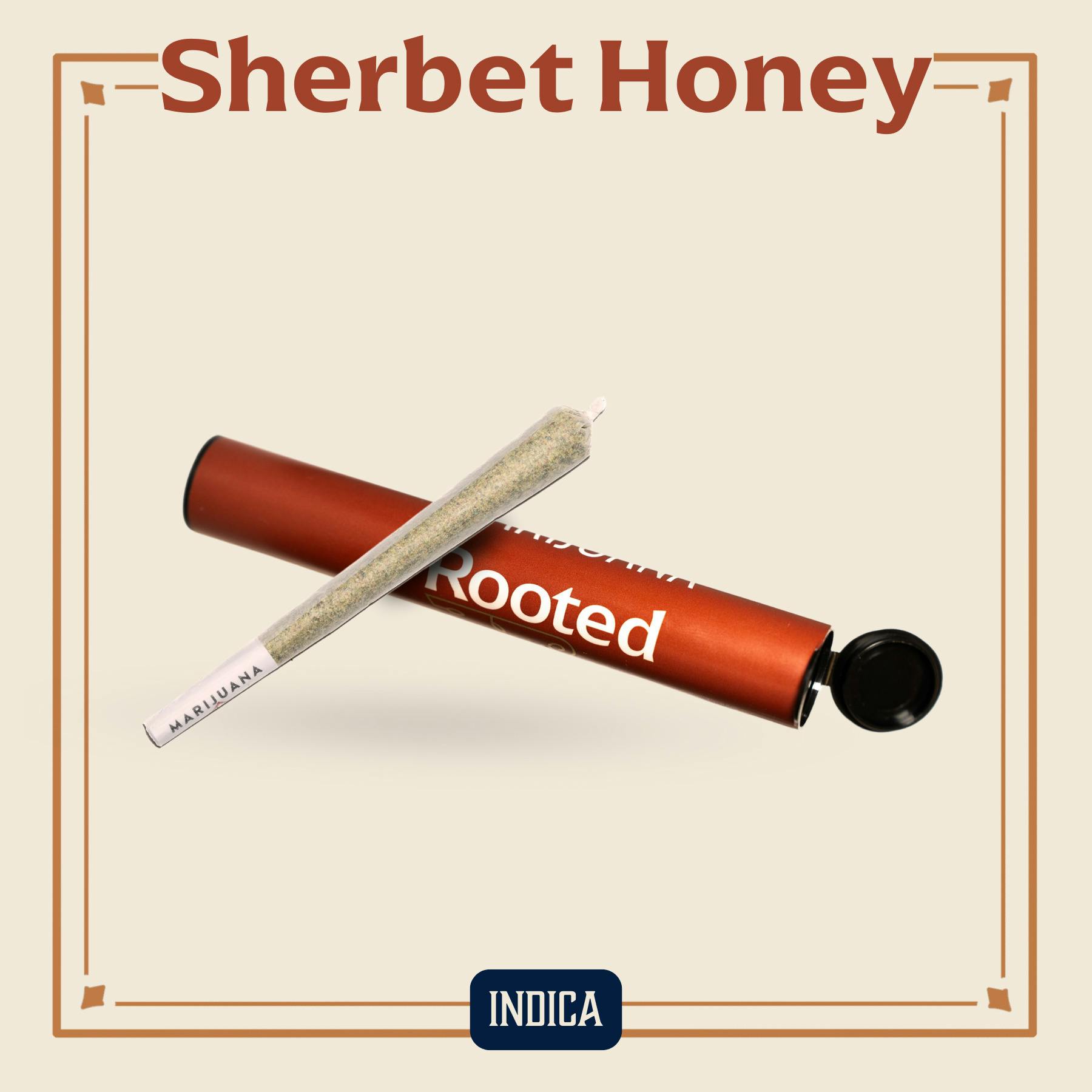 Rooted - Preroll - Sherbet Honey (I) (1.0g)