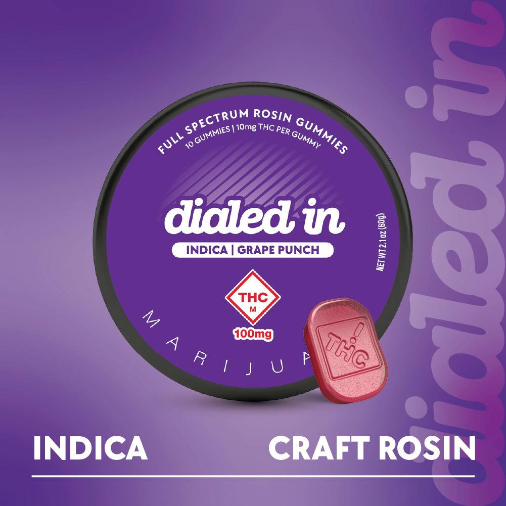 Rosin Gummies - Grape Punch (I) (100mg)